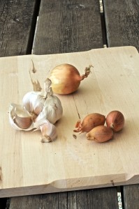 cipolle, aglio e scalogni