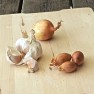 cipolle, aglio e scalogni