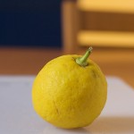 Cosa fare con i limoni