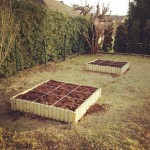 Progetto orto 2012: le prime azioni